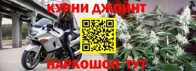 сатива Моздок