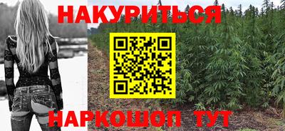 прущие грибы Нальчик
