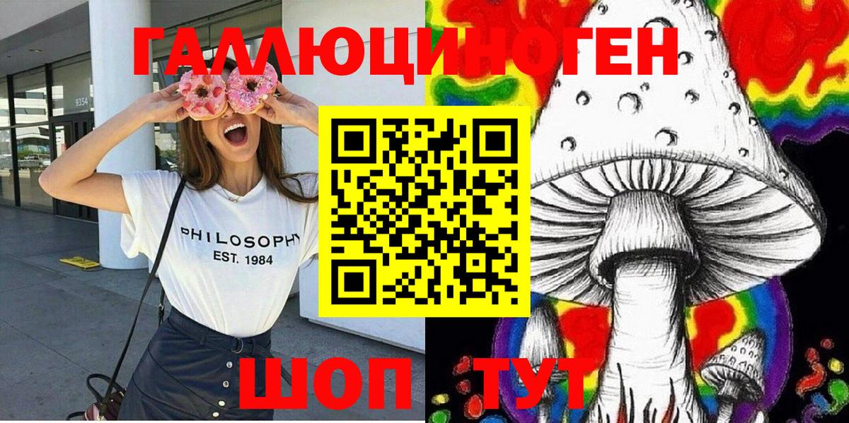 Сланцы  Псилоцибиновые грибы прущие грибы  Вход с VPN 
